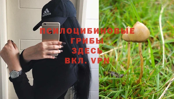 амф Покров